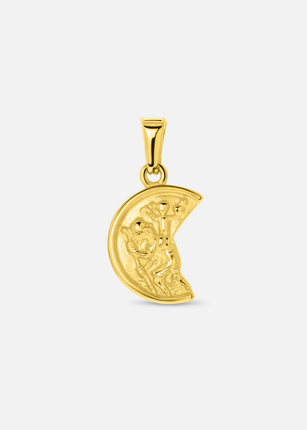 🎁 Quarter Pendant. - (Gold) (15% off)